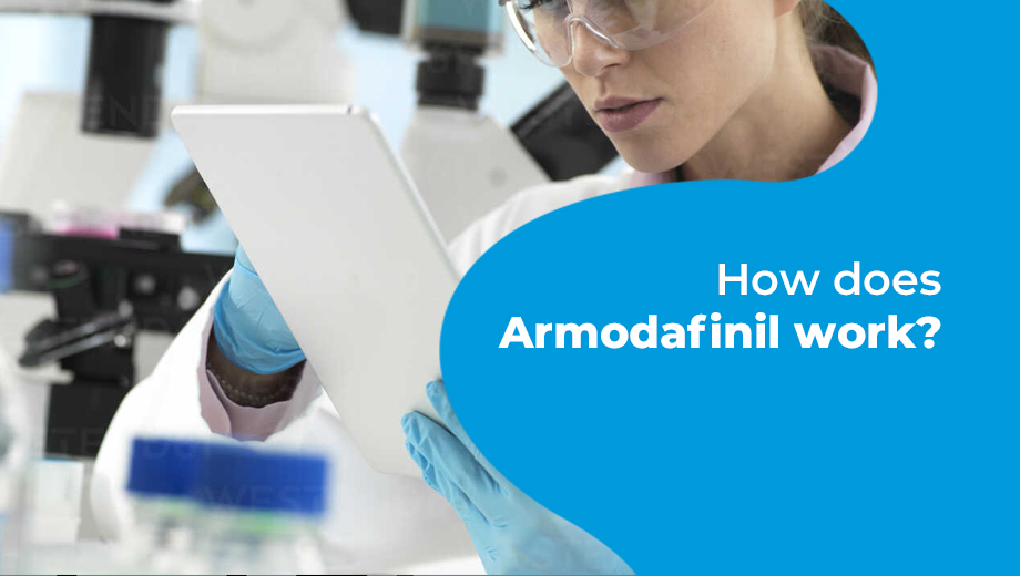 how armodafinil works to enhance wakefulness and improve cognitive function